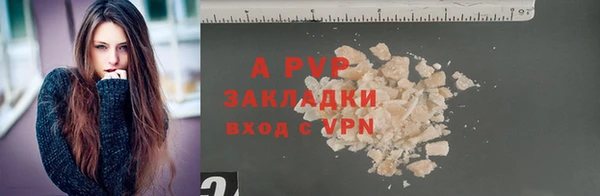 молекула духа Елизово