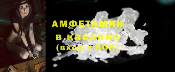 молекула духа Елизово