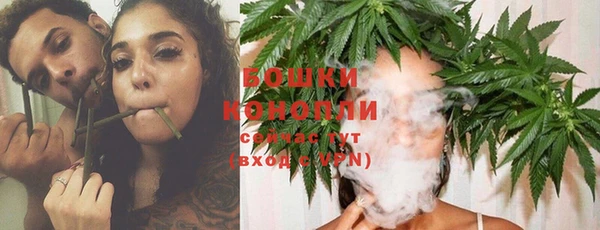 молекула духа Елизово