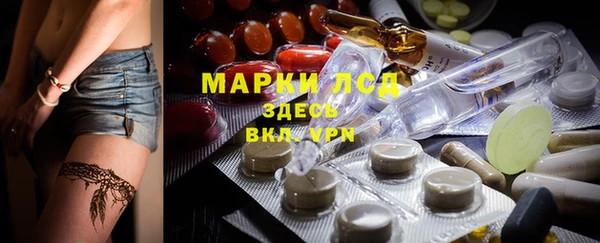 молекула духа Елизово